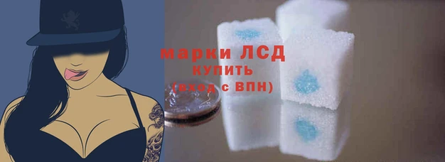 прущие крисы Вяземский